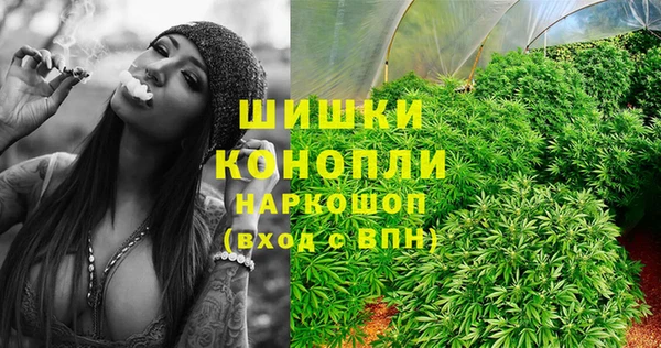тгк Кулебаки