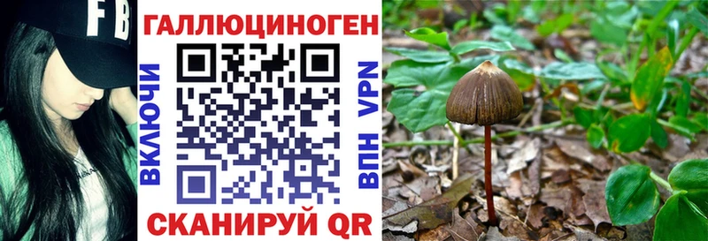 Купить где  Верея  Галлюциногенные грибы прущие грибы 